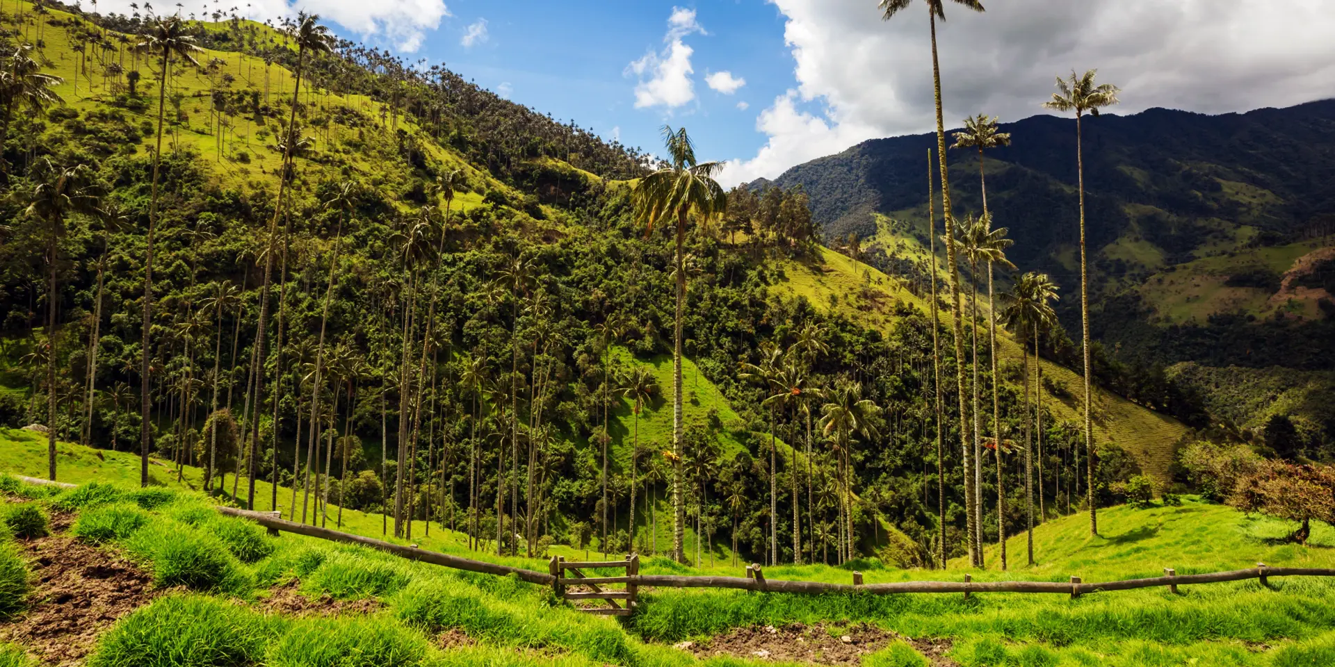 Colombia